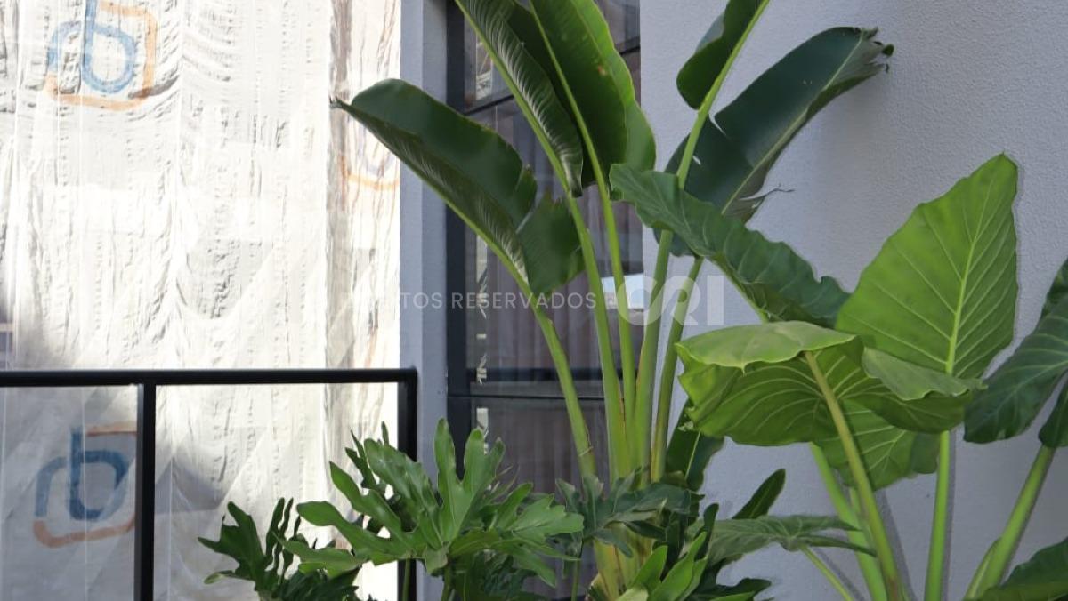 Apartamento com 2 suítes no Beach Tower em Balneário Perequê, Porto Belo